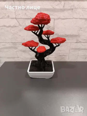 Бонсай - сувенир (+подарък), снимка 1