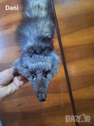 Антикварни вещи за ценители, снимка 9 - Антикварни и старинни предмети - 49411117