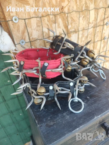 Кайшки от Турция за голямо Куче