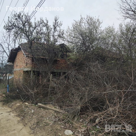 Продавам имот в село Винарово (Видинско, снимка 4 - Къщи - 52866848