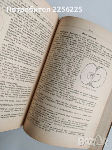 Помология 1958г, снимка 2 - Специализирана литература - 52678038