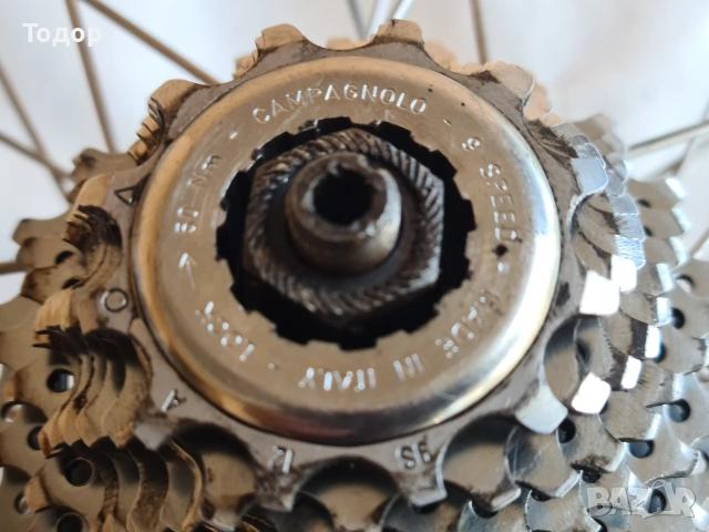 Задна капла Bianchi-Campagnolo