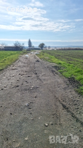 Парцел 4,3 дк землище Игнатиево, снимка 3 - Земеделска земя - 52635874