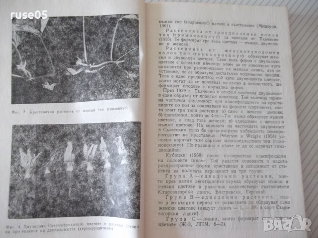 Книга "Краставици - Атанас Михов" - 160 стр., снимка 5 - Специализирана литература - 40060421