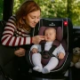 Столче за кола Zizito Amadeo, 0-36 кг, с IsoFix, снимка 8