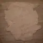 Голяма агнешка кожа, снимка 2