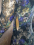 Rinascimento S- Елегантна  италианска рокля от стегнат тюл с флорален принт , снимка 8