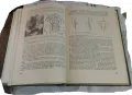 Продавам медицински учебник 4, снимка 4