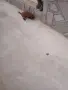 Tyi Mini Pydel Sladyri, снимка 11
