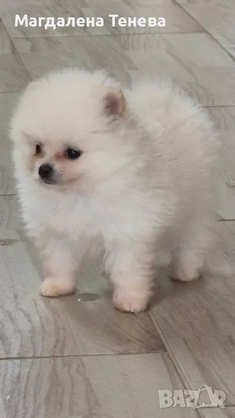 Момичета , снимка 1