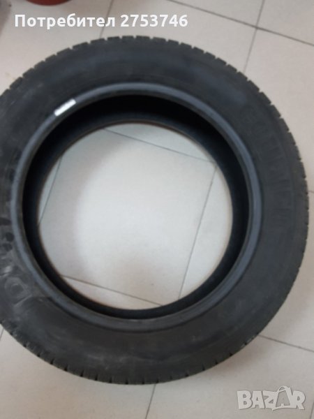 Еднин брой лятна гума , снимка 1