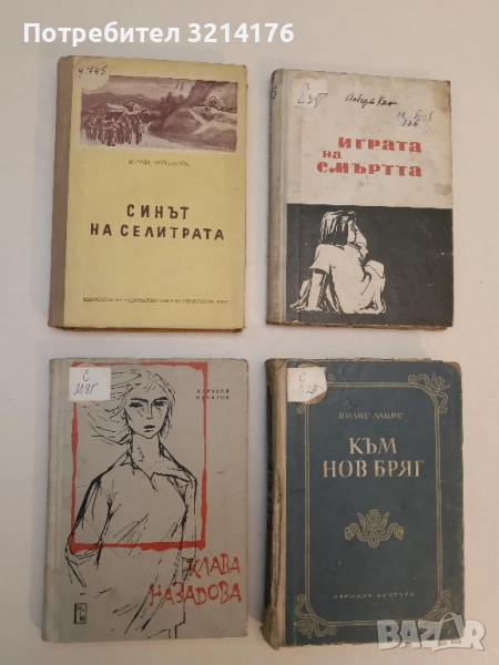 Синът на селитрата - Володя Тейтелбойм, снимка 1