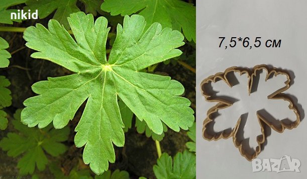 Листо Здравец кндрише пластмасов резец форма фондан тесто бисквитки пита, снимка 1