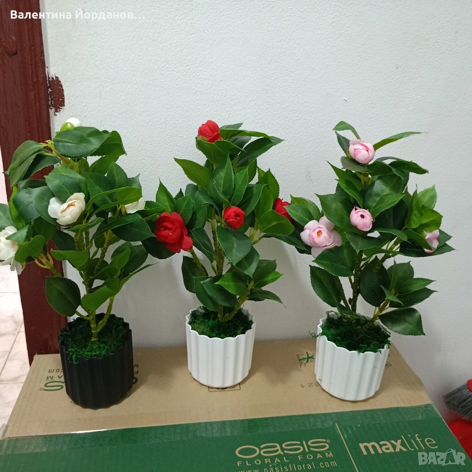 реалистични изкуствени камелии , снимка 1