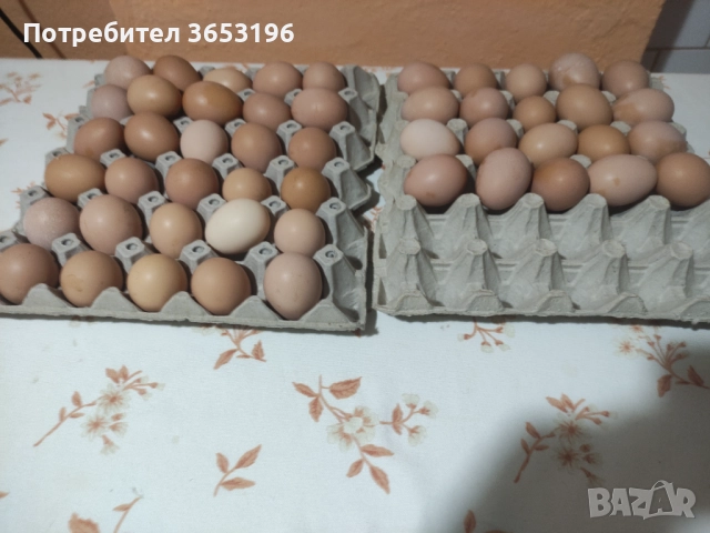 Домашни яйца , снимка 3 - други­ - 50025515