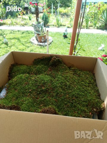 Горски мъх Декорация Естествен Скандинавски мъх.., снимка 3 - Декорация за дома - 37560798