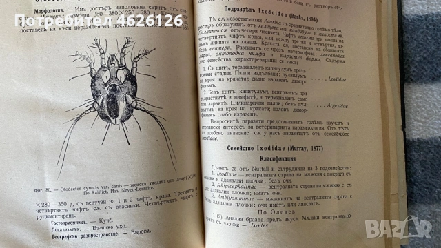 Пчеларство и болести по пчелите, снимка 4 - Специализирана литература - 53217328