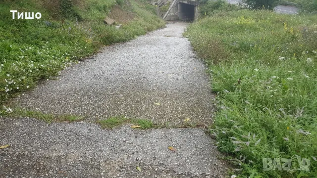 Имот гр Килифарево, снимка 4 - Къщи - 49512221