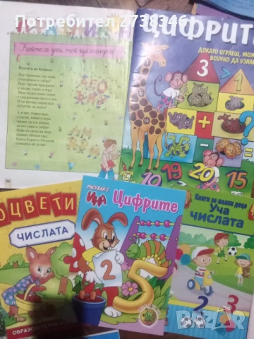Общо 35 книжки за 10 Евро , снимка 4 - Детски книжки - 53215495