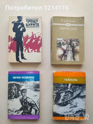 Срещу бурите - Елисавета Драбкина