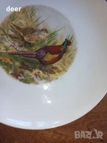 Порцеланова чиния с картинка, снимка 3 - Колекции - 47536437