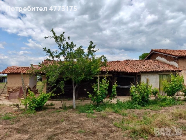 Къща в село Гранит едноетажна с допълнителна постройка, снимка 10 - Къщи - 53928191