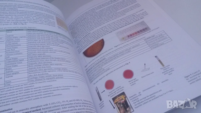 Микробиология - Manual for practical exercises in medical microbiology Part II - Гергова, 3-то изд., снимка 9 - Учебници, учебни тетрадки - 54084480
