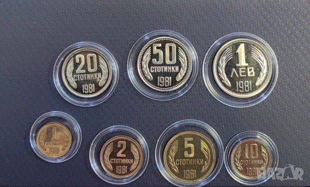 Пълен сет Мат Гланц монети 1981 година , снимка 4 - Нумизматика и бонистика - 53888758