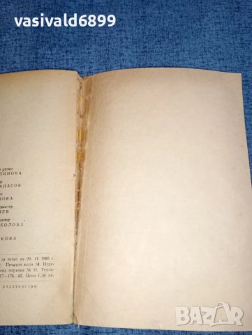 Мария Фортус - Алба регия , снимка 9 - Художествена литература - 47499998