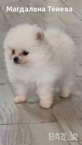 Момичета , снимка 1