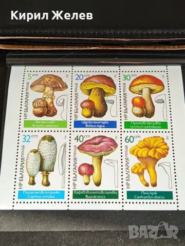 Пощенски марки чиста комплектна серия ГЪБИ поща НРБЪЛГАРИЯ за КОЛЕКЦИОНЕРИ 46344, снимка 8 - Филателия - 47769888