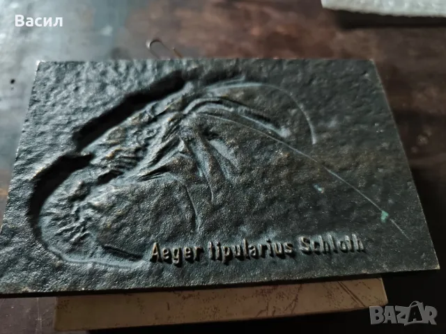 бронзов плакет , снимка 2 - Колекции - 47972043