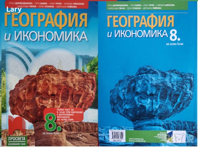 Учебници за 8 клас /ПЪРВА АНГЛИЙСКА ГИМНАЗИЯ / Паралелка Англ. език и Руски език, снимка 8 - Учебници, учебни тетрадки - 37632262