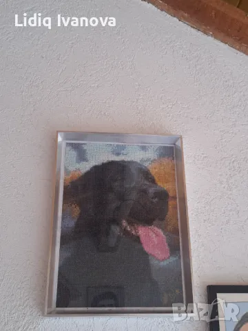 Диамантен гоблен черен лабрадор-готов и рамкиран, снимка 2 - Гоблени - 50068847