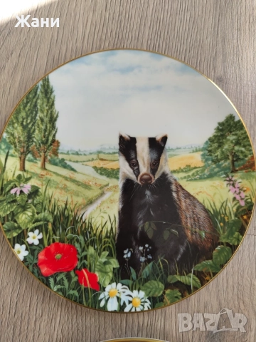 Колекционерски чинии Royal Doulton, снимка 4 - Колекции - 56002352