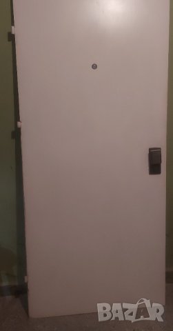Входна желязна врата 