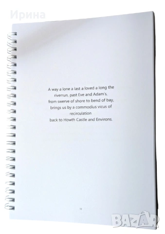 James Joyce's "Finnegans Wake" in quotation selections, снимка 4 - Художествена литература - 54081804