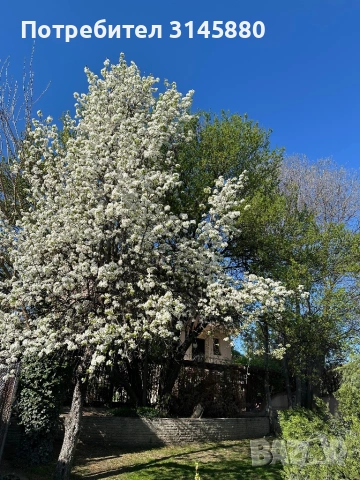 Градинарски услуги 