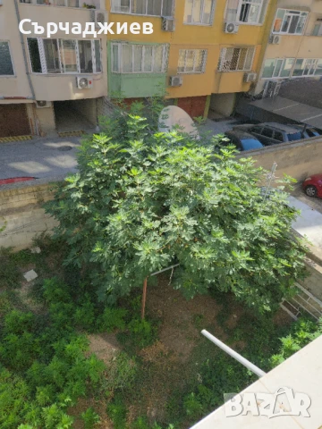 Апарт,Варна,Тухла, година на строителство 1998г ет. 2 от 5 77м/кв ., снимка 17 - Апартаменти - 51038440