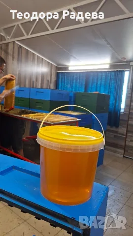 Мед Липа 2026г. , снимка 2 - Пчелни продукти - 55954153