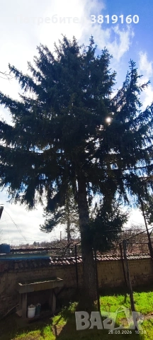 Продаваме къща без посредник