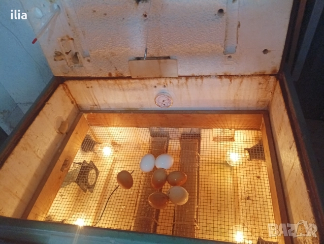 продавам , снимка 4 - За селскостопански - 51978407