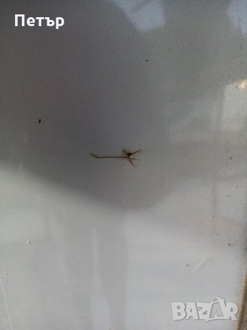 Задна лява врата за сеат алхамбра, фолцваген шаран, снимка 2 - Части - 29672155