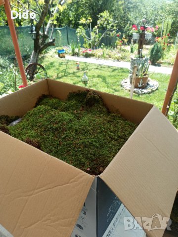 Горски мъх Декорация Естествен Скандинавски мъх.., снимка 2 - Декорация за дома - 37560798