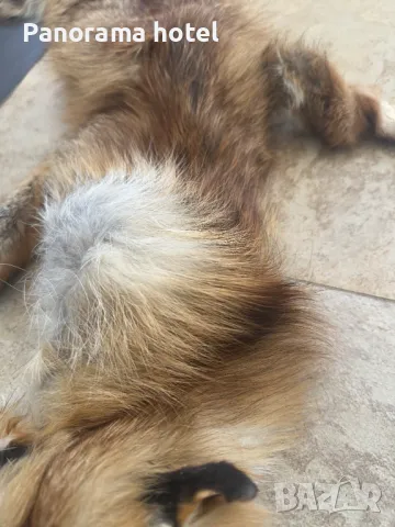 естествена кожа с косъм , снимка 3 - Други стоки за дома - 50078309