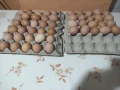 Домашни яйца , снимка 3