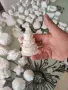 Гипсови отливки различни модели. Цените са различни, снимка 5