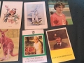 колекция стари соц календарчета от 80-те години 27/5, снимка 5