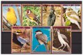 ЕКВАТОРИАЛНА АФРИКА 1976 Птици от Африка чиста серия
