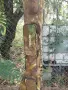 Въдици за риболов на дъно , снимка 9